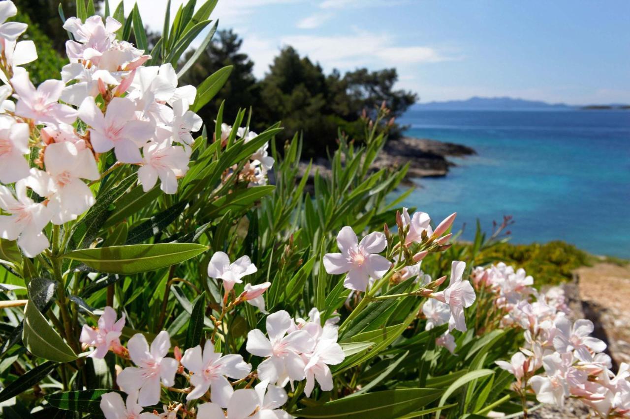 Apartmani Doro Vela Luka Εξωτερικό φωτογραφία